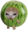 Manityro's Avatar